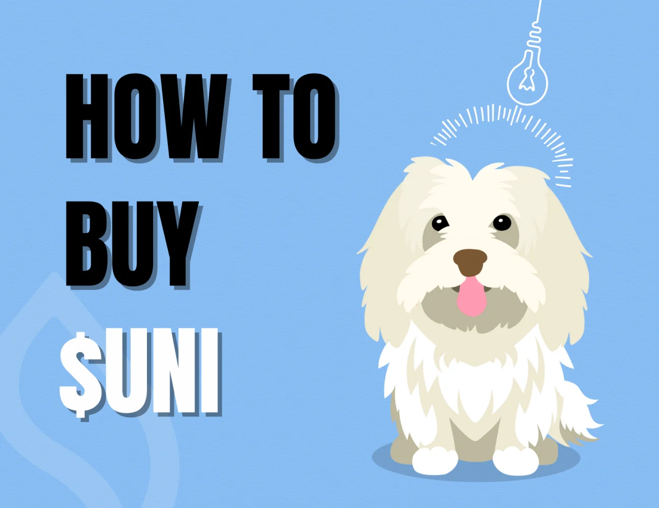 Set Up Slush Wallet