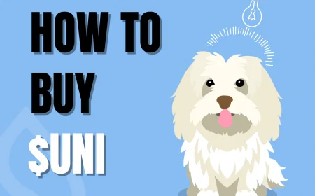 How To Buy Uni Meme Coin ($UNI)