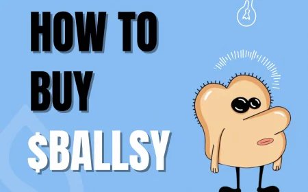 How To Buy Ballsy Meme Coin ($BALLSY)
